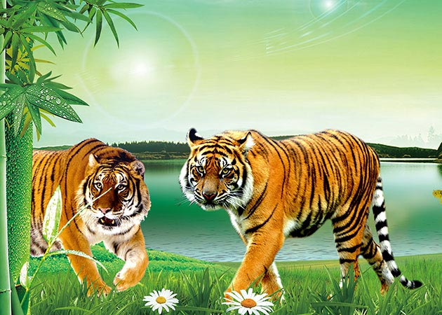 Falra nyomtatás beltéren